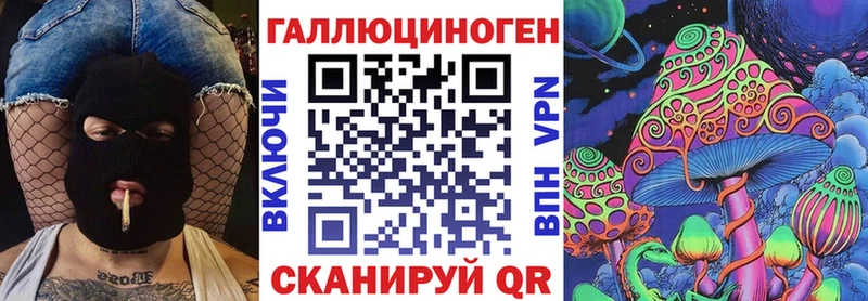 Купить где  Николаевск-на-Амуре  Галлюциногенные грибы Psilocybine cubensis 
