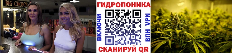 Марихуана THC 21%  Купить закладки  Николаевск-на-Амуре 